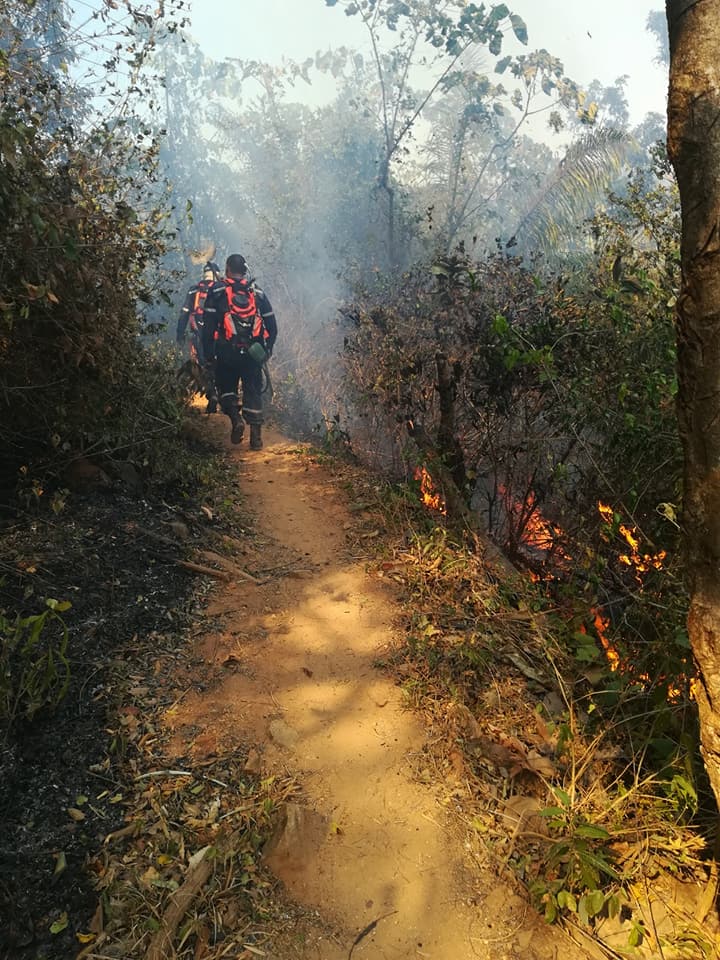 Continúan activos 13 incendios forestales en Colombia según UNGRD